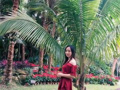 -呀诺达热带雨林