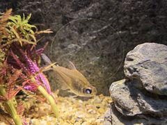 -上海海洋水族馆