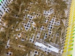-毛哥小馆子(百井坊巷店)