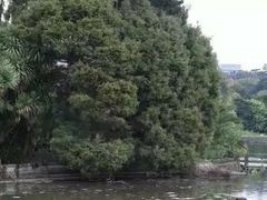 -墨尔本皇家植物园