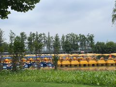 -洋湖国家湿地公园