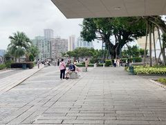 -大炮台