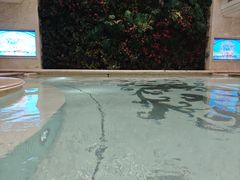 -麓湖国际水疗