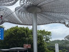 -广州市白云山风景名胜区
