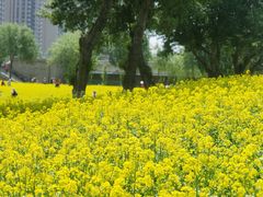 -长白岛森林公园