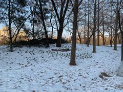 -元大都城垣遗址公园