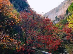 -黄花溪