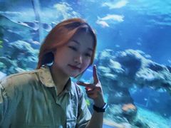 -杭州海底世界