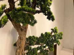 -荷塘秋月·本帮江浙菜(国权路店)