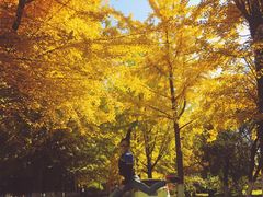 -辽东学院(南校区)