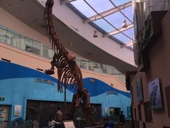 -陕西自然博物馆