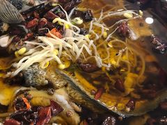 -小唐小四川水煮鱼(北三路店)