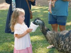 -威勒比开放式动物园