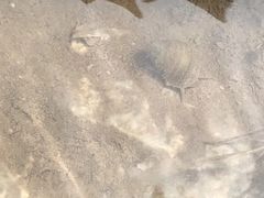 -小赖鱼馆