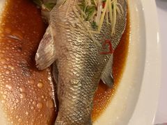 -眉州东坡(亚运村店)