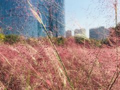 -艾溪湖湿地公园