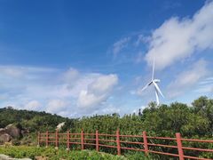 -东澳岛