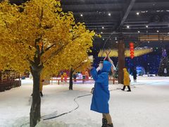 -宁波冰雪大世界(北仑区)