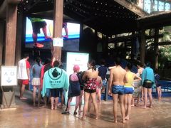 -杭州开元森泊度假乐园