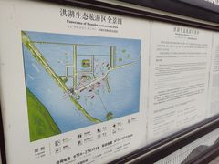 -洪湖生态旅游区