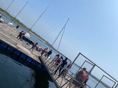 -拓恩帆船俱乐部