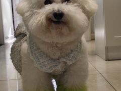 -FAELING PETS美天灵宠物(合生汇店)
