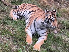 -栾川竹海野生动物园