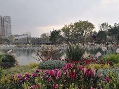 -北湖公园