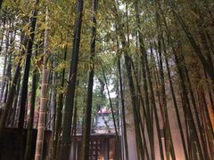 -穹六人间 people 6(岳阳路店)