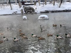 -水磨沟公园