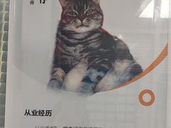-全心全意连锁动物医院·微创中心·内科急重症·心脏专科(丰管路店)