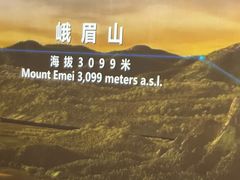 -四川大学博物馆