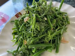 丝瓜尖-瑞丰园庭院餐厅·白族传统家常菜