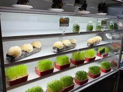 -番食园鲜食火锅(高新店)