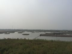 -南大港湿地风景区