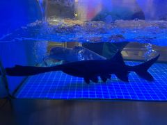 -鱼豆吉·豆浆鱼火锅(宜昌万达店)