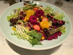 橄榄油果蔬沙拉-北平楼·烤鸭·北京菜(牡丹园店)
