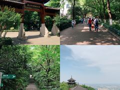 -杭州半山国家森林公园