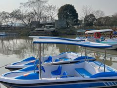 -苏州太湖西山岛开心农场