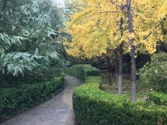 -乡党臊子面(丰庆公园店)