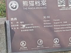 -都江堰中华大熊猫苑