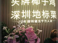 -润园四季椰子鸡火锅(南山海岸城店)