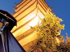 -生宇山珍野生菌汤锅•始于2002(双流古塔店)