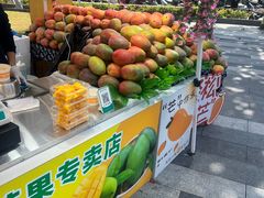 -飞洲国际广场