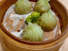 -金汇酒楼(中山东区店)