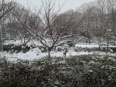 -京和风食堂·定食寿喜锅(保利樾广场店)