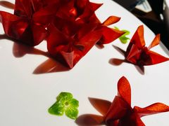 -映水芙蓉(长宁来福士店)