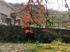 -广州市石门国家森林公园