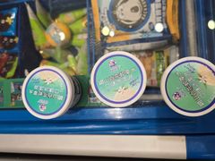 -洋洋爸雪糕(万科店)