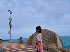 -广东惠东海龟国家级自然保护区